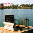 李逵井 李逵井