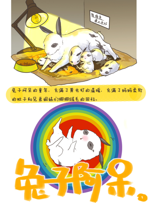 兔子阿呆 兔子阿呆