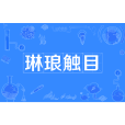 琳琅觸目