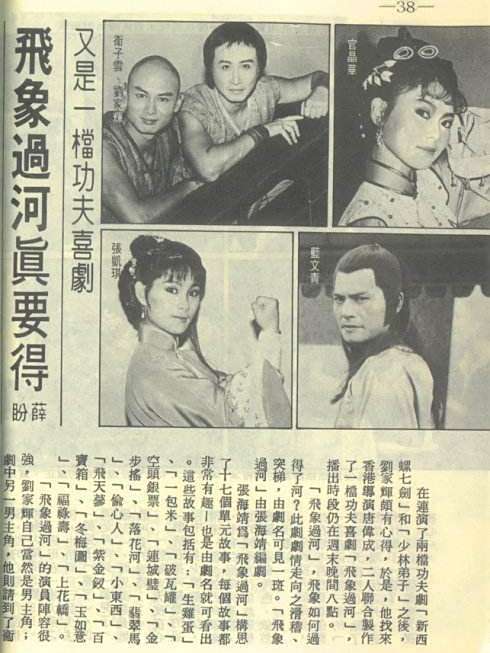 飛象過河(劉家輝、衛子云、官菁華主演的電視劇) 飛象過河(劉家輝、衛子云、官菁華主演的電視劇)