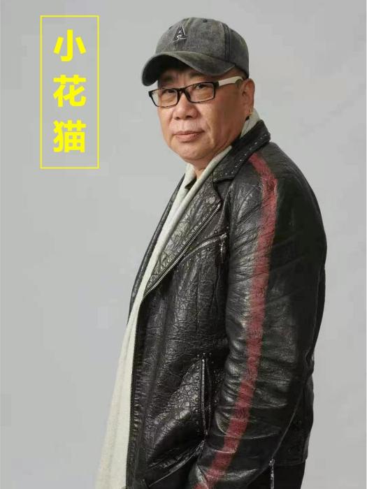 小花貓(王楓演唱的歌曲) 小花貓(王楓演唱的歌曲)