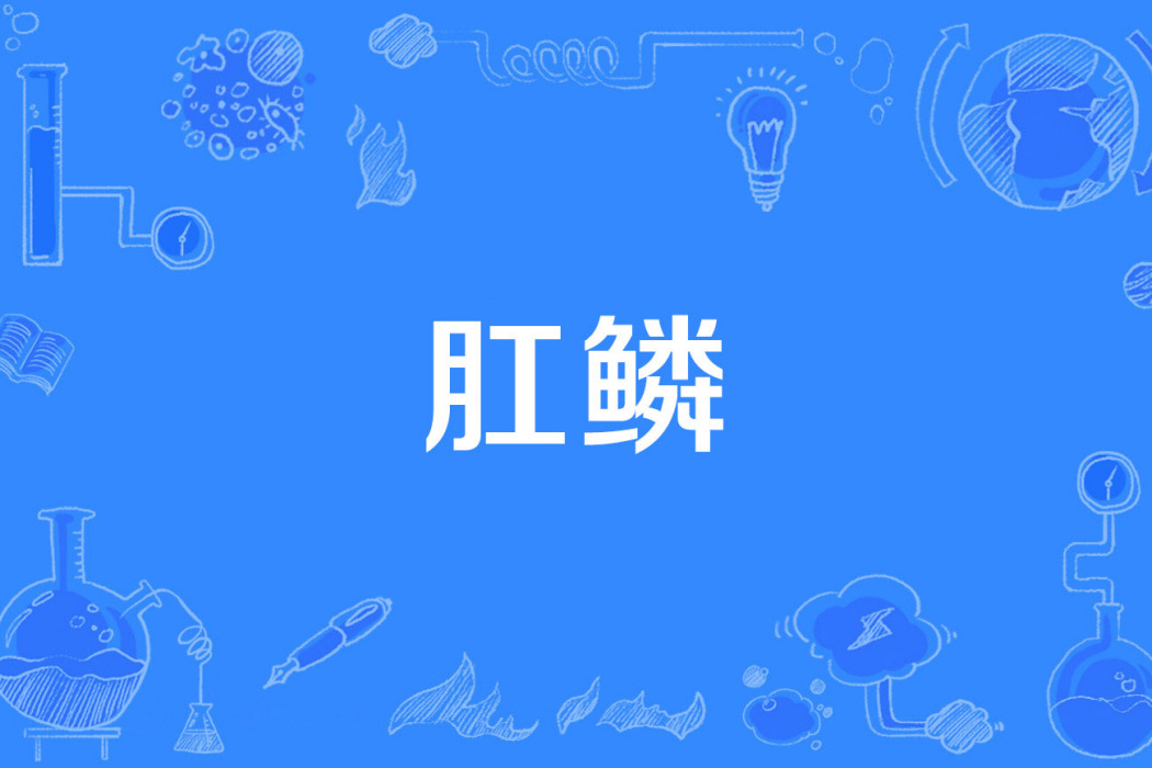 肛鱗 肛鱗