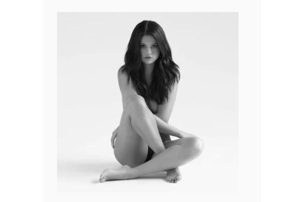 Camouflage(Selena Gomez演唱歌曲) Camouflage(Selena Gomez演唱歌曲)