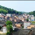 岱陽村 岱陽村