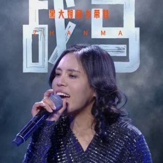戰馬(2024年黑大嬸回鄉帶娃翻唱的歌曲) 戰馬(2024年黑大嬸回鄉帶娃翻唱的歌曲)