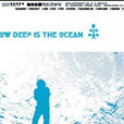 海有多深(音樂專輯) 海有多深(音樂專輯)