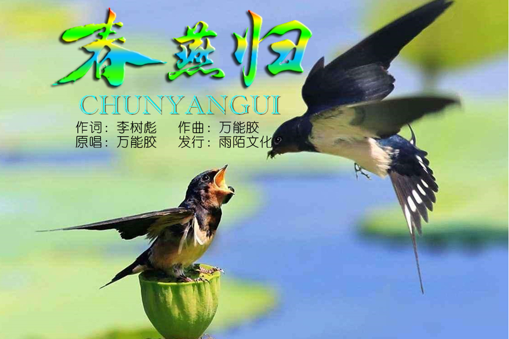 春燕歸 春燕歸