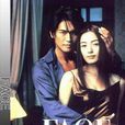 雙面情人(日本2001年仲間由紀惠主演電視劇) 雙面情人(日本2001年仲間由紀惠主演電視劇)