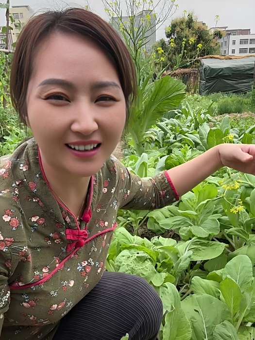 鄉村小楊 鄉村小楊