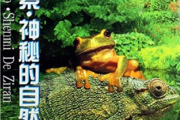 探索(2005年光明日報出版社出版的圖書) 探索(2005年光明日報出版社出版的圖書)