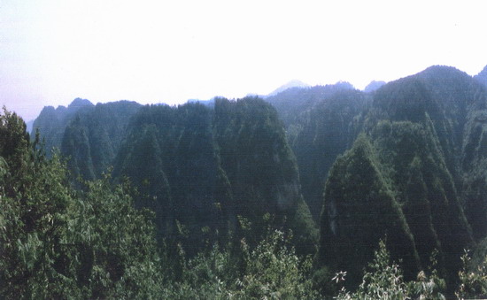 老山口省級森林公園