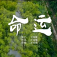 命運(電影《情況不妙》主題曲) 命運(電影《情況不妙》主題曲)