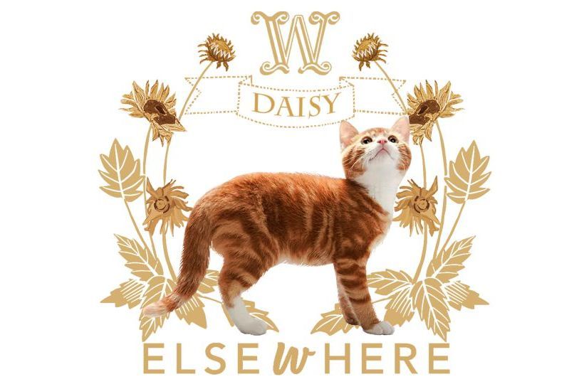 Elsewhere(女裝服飾穿搭品牌) Elsewhere(女裝服飾穿搭品牌)
