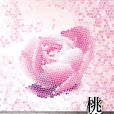 桃花戒指 桃花戒指