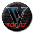 Vocal Voice Vocal Voice
