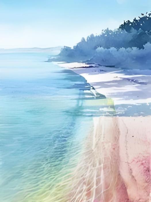 浮木與她 浮木與她