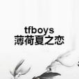 tfboys薄荷夏之戀 tfboys薄荷夏之戀