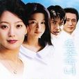 窈窕淑女(韓國2003年金喜善主演電視劇)
