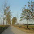 藺窯村 藺窯村