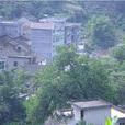 三聯村(廣西南寧市西鄉塘區金陵鎮三聯村) 三聯村(廣西南寧市西鄉塘區金陵鎮三聯村)