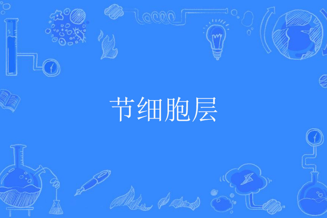 節細胞層 節細胞層