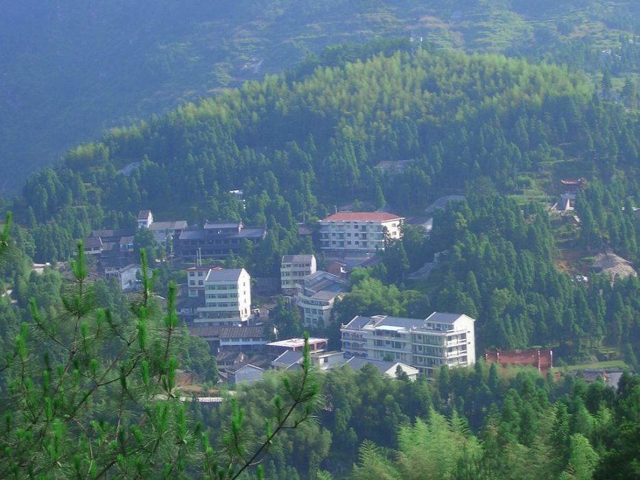 者龍村 者龍村