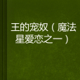 王的寵奴 王的寵奴