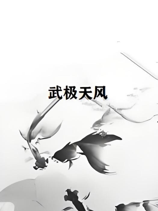 武極天風 武極天風