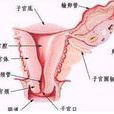 先天性卵巢發育不全症