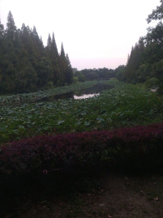 東溝口村(陝西省商洛市山陽縣小河口鎮下轄村) 東溝口村(陝西省商洛市山陽縣小河口鎮下轄村)