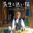 老師和迷路貓