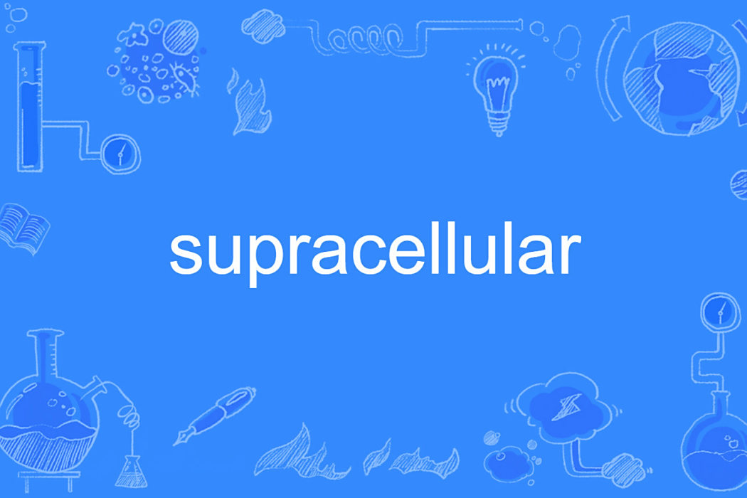 supracellular supracellular
