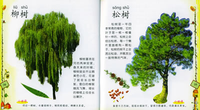 中國小學生百科全書：植物