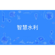 智慧水利(中國普通高等學校本科專業) 智慧水利(中國普通高等學校本科專業)