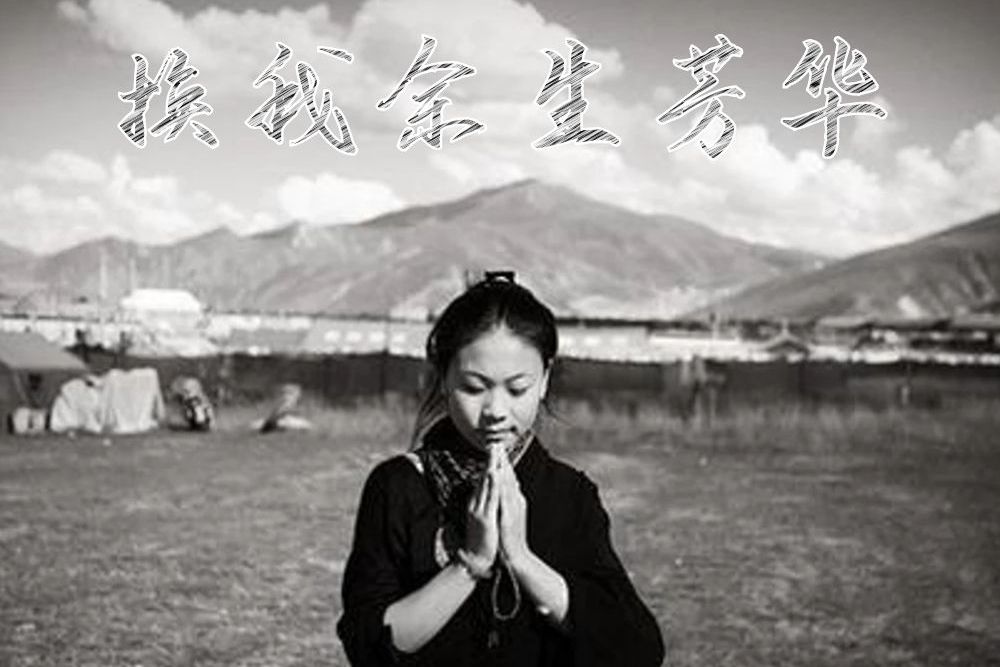 換我餘生芳華 換我餘生芳華