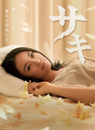 仲間由紀惠 仲間由紀惠