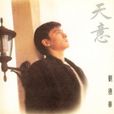 天意(劉德華演唱歌曲) 天意(劉德華演唱歌曲)