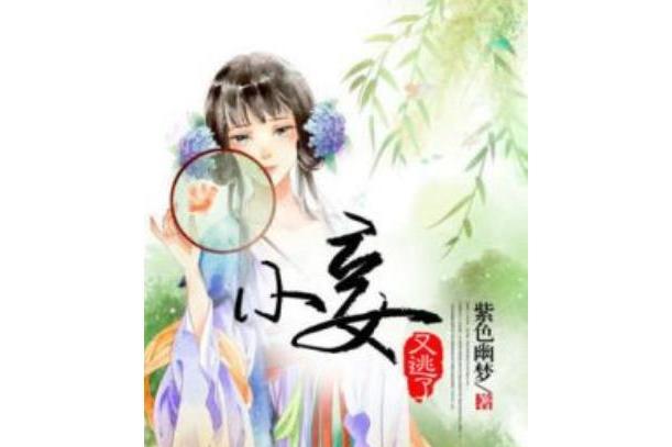 小妾又逃了 小妾又逃了