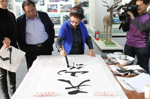 王素蘭(書法藝術家) 王素蘭(書法藝術家)