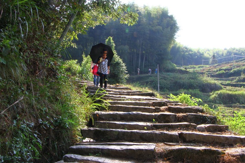 通靈古道 通靈古道