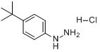 4-叔丁基苯肼鹽酸鹽
