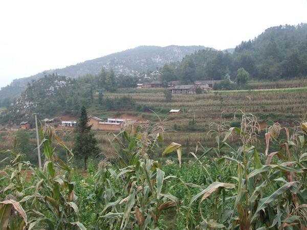 迤黑村(雲南宣威市格宜鎮下轄村) 迤黑村(雲南宣威市格宜鎮下轄村)