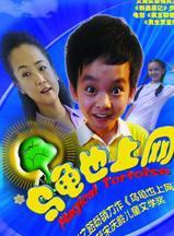 史磊(中國內地男演員)