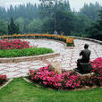百花苑公園(百花苑) 百花苑公園(百花苑)
