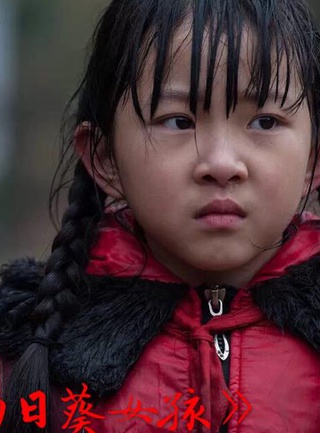 晨媛兒 晨媛兒