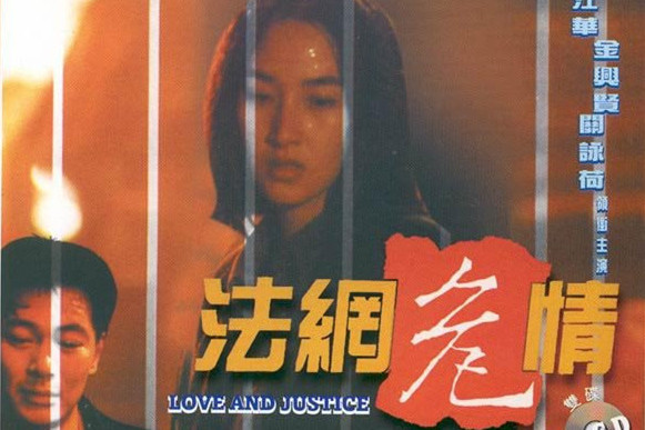 法網危情(1992年鄭南執導的電視電影) 法網危情(1992年鄭南執導的電視電影)