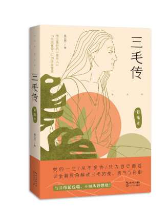 三毛傳(2022年長江文藝出版社出版的圖書)