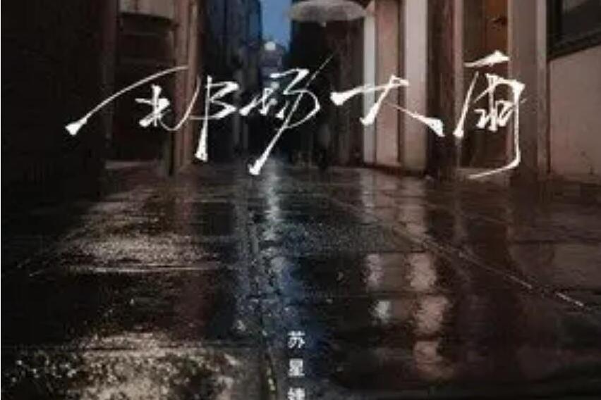 那場大雨 那場大雨