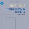 2012~2013中國通信業發展分析報告