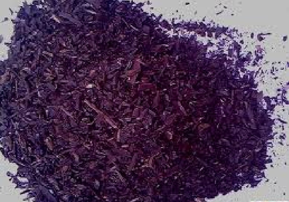 紅條紫草